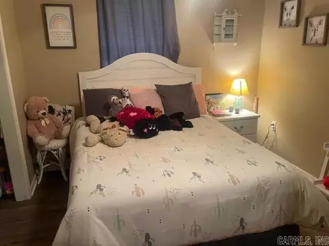 16 Overlook Trl, Conway, AR 72032 photo 19