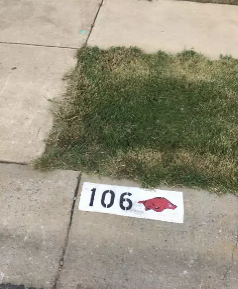106 Riveria Cv, Haskell, AR 72015 photo 37