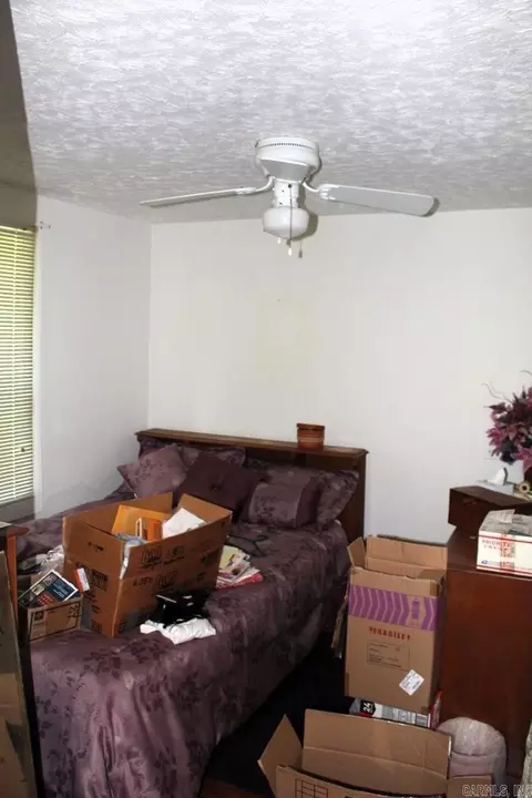314 Round Mountain Rd, Alco, AR 72680 photo 13