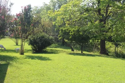 314 Round Mountain Rd, Alco, AR 72680 photo 7