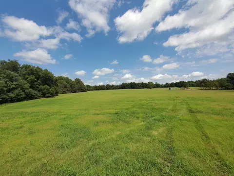 569 County Road 359, Piggott, AR 72454 photo 15