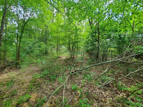 569 County Road 359, Piggott, AR 72454 photo 21