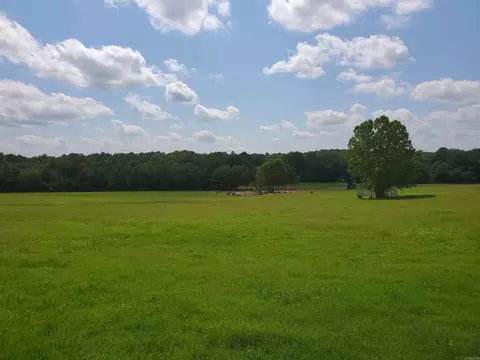 569 County Road 359, Piggott, AR 72454 photo 48