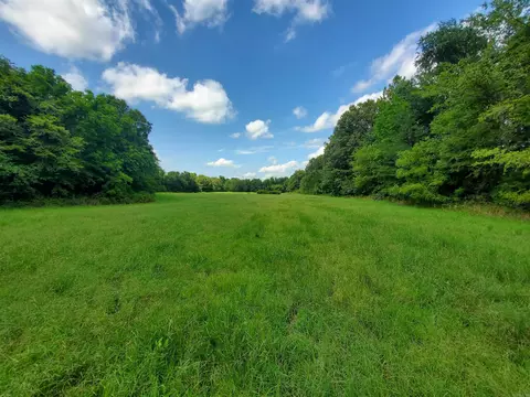 569 County Road 359, Piggott, AR 72454 photo 7