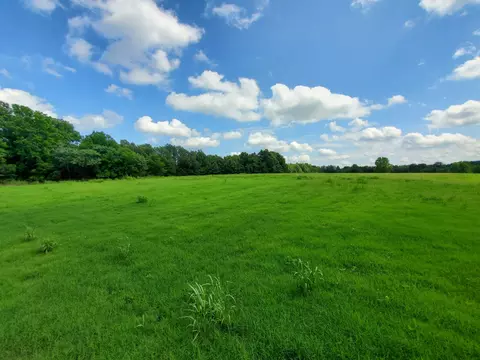 569 County Road 359, Piggott, AR 72454 photo 43