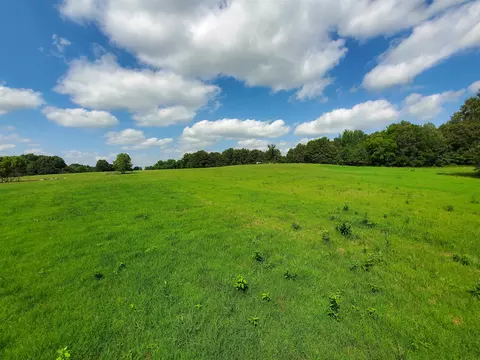 569 County Road 359, Piggott, AR 72454 photo 47