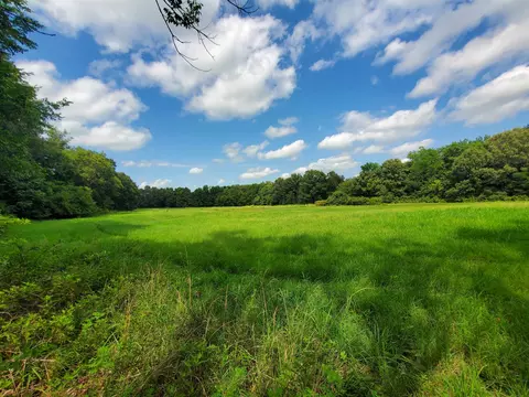 569 County Road 359, Piggott, AR 72454 photo 35