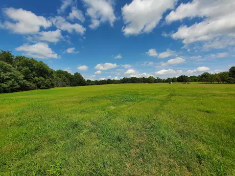 569 County Road 359, Piggott, AR 72454 photo 13