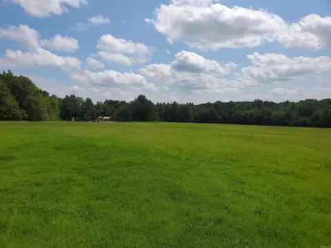 569 County Road 359, Piggott, AR 72454 photo 49