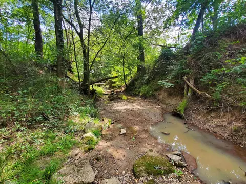 569 County Road 359, Piggott, AR 72454 photo 5
