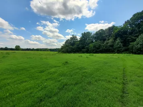 569 County Road 359, Piggott, AR 72454 photo 41