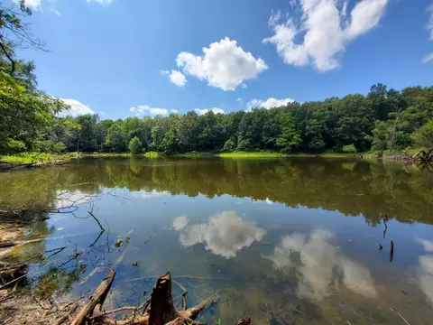 569 County Road 359, Piggott, AR 72454 photo 29