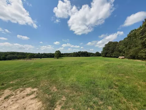 569 County Road 359, Piggott, AR 72454 photo 9