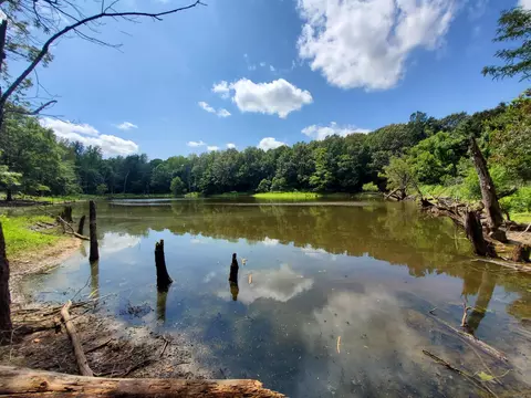 569 County Road 359, Piggott, AR 72454 photo 23