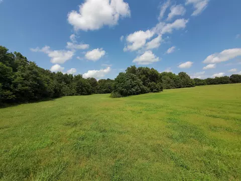 569 County Road 359, Piggott, AR 72454 photo 14
