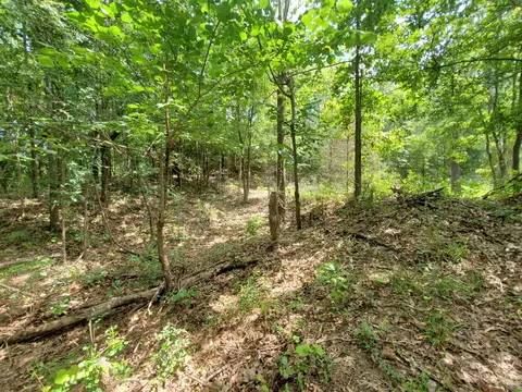 569 County Road 359, Piggott, AR 72454 photo 32