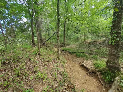 569 County Road 359, Piggott, AR 72454 photo 20