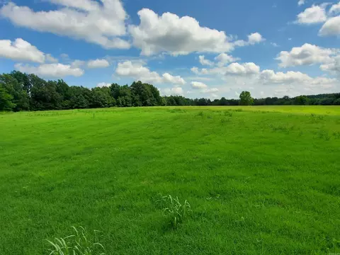 569 County Road 359, Piggott, AR 72454 photo 44