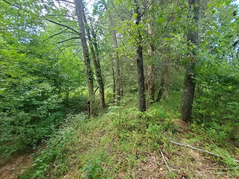 569 County Road 359, Piggott, AR 72454 photo 19