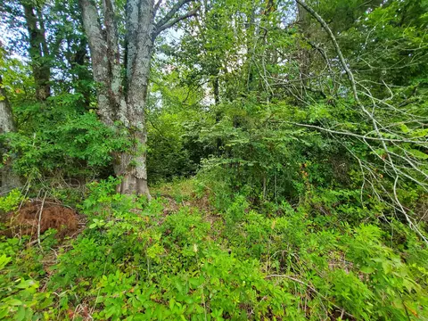 569 County Road 359, Piggott, AR 72454 photo 18