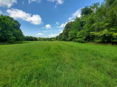 569 County Road 359, Piggott, AR 72454 photo 8