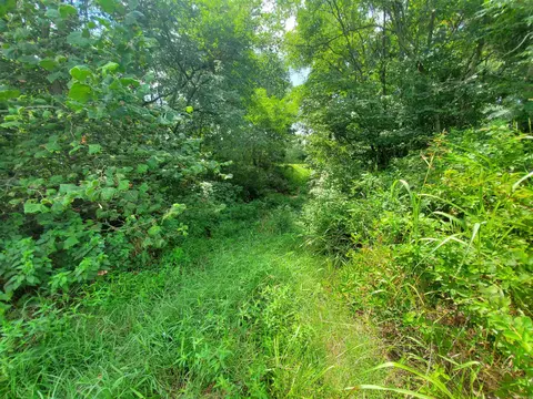 569 County Road 359, Piggott, AR 72454 photo 4