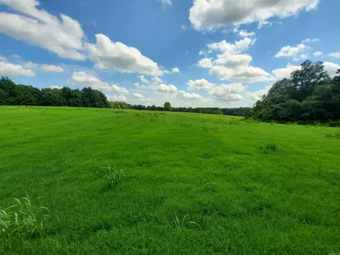 569 County Road 359, Piggott, AR 72454 photo 42