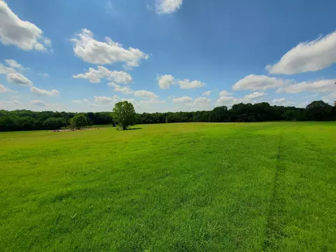 569 County Road 359, Piggott, AR 72454 photo 46