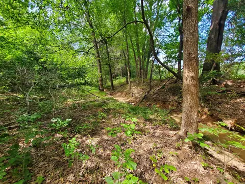 569 County Road 359, Piggott, AR 72454 photo 33