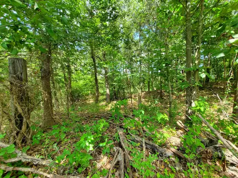 569 County Road 359, Piggott, AR 72454 photo 30