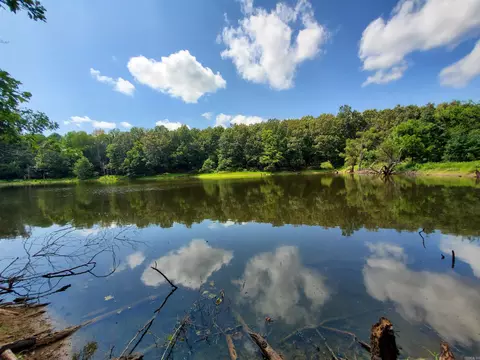 569 County Road 359, Piggott, AR 72454 photo 28