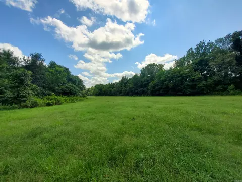569 County Road 359, Piggott, AR 72454 photo 39
