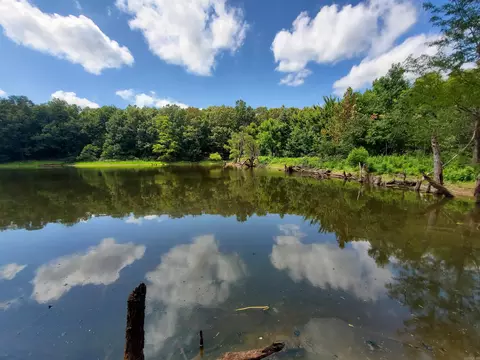 569 County Road 359, Piggott, AR 72454 photo 25
