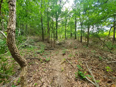 569 County Road 359, Piggott, AR 72454 photo 22