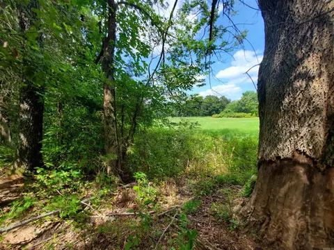 569 County Road 359, Piggott, AR 72454 photo 34