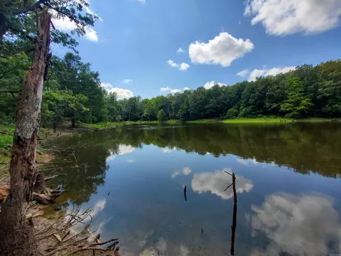 569 County Road 359, Piggott, AR 72454 photo 26