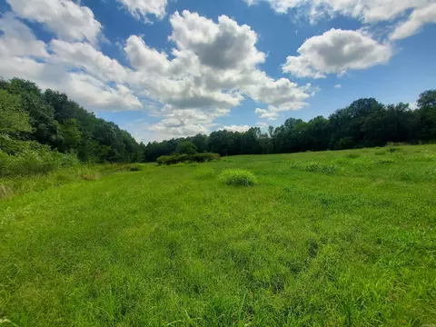 569 County Road 359, Piggott, AR 72454 photo 6