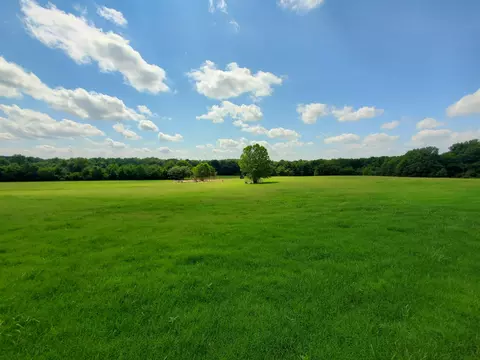 569 County Road 359, Piggott, AR 72454 photo 45