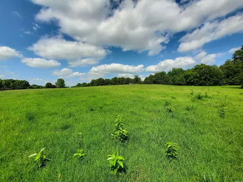 569 County Road 359, Piggott, AR 72454 photo 37