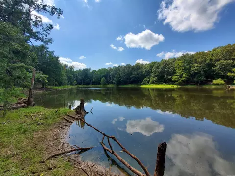 569 County Road 359, Piggott, AR 72454 photo 24