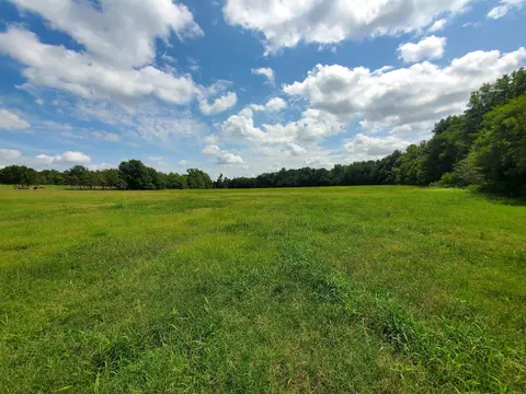 569 County Road 359, Piggott, AR 72454 photo 12