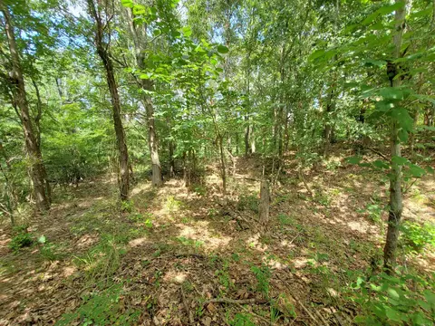 569 County Road 359, Piggott, AR 72454 photo 31