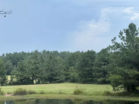 6330 E Rodgers Rd, Rison, AR 71665 photo 15