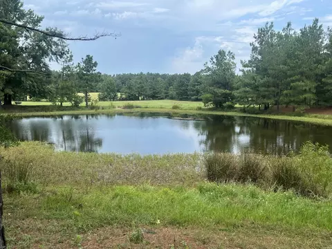 6330 E Rodgers Rd, Rison, AR 71665 photo 9