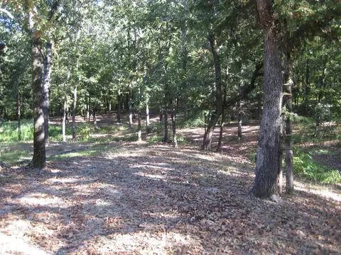 181 Walnut Ln, Mena, AR 71953 photo 33