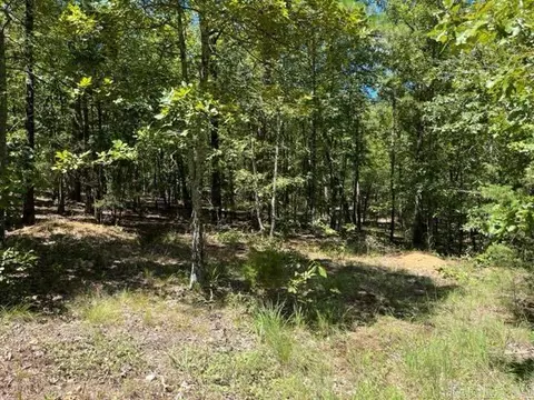23 Crestview Rd, Conway, AR 72034 photo 5