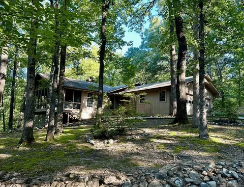 403 Hall St, Mount Ida, AR 71957 photo 37