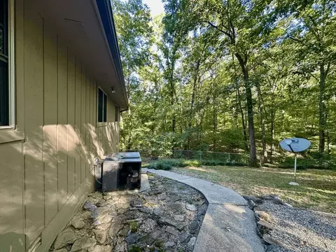 403 Hall St, Mount Ida, AR 71957 photo 40