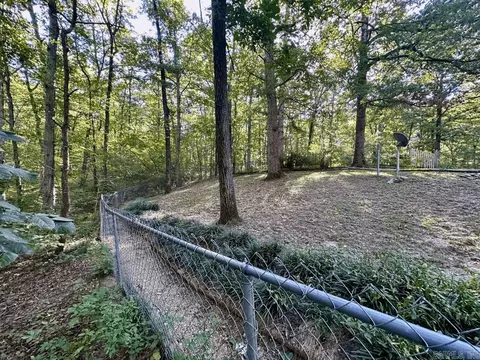 403 Hall St, Mount Ida, AR 71957 photo 43