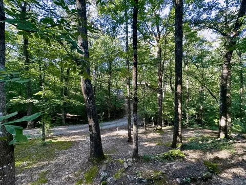 403 Hall St, Mount Ida, AR 71957 photo 34
